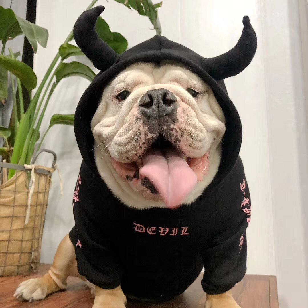 ee113f2baa53bb9f1ddafd1dedd5c581