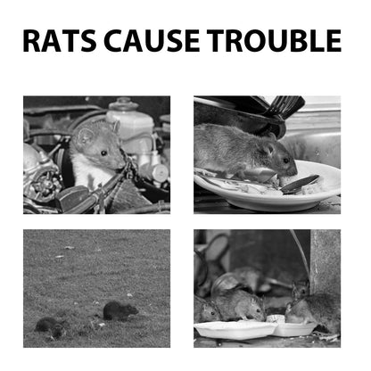 Ultrasonic Mouse Repellent - Indoor & Outdoor Protection